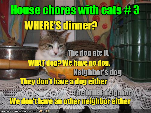 House chores with cats # 3 WHERE'S dinner? The dog ate it. WHAT dog? We have no dog. Neighbor's dog They don't have a dog either The OTHER neighbor We don't have an other neighbor either ICANHASCHEEZBURGER.COM