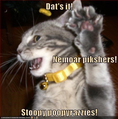 Dat's it! Nemoar pikshers! Stoopy poopyrazzies! ICANHASCHEEZBURGER.COM