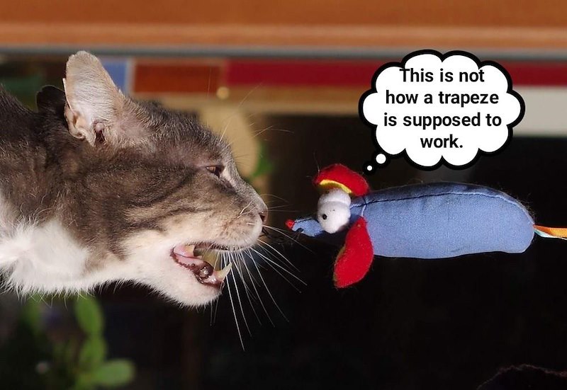 This is not how a trapeze is supposed to work.