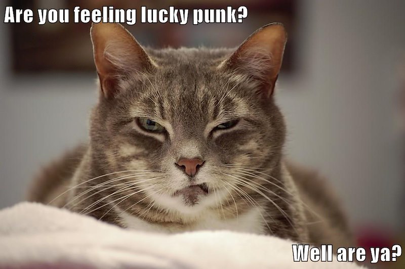 Are you feeling lucky punk? Well are ya?