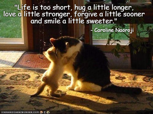 "Life is too short, hug a little longer, love a little stronger, forgive a little sooner and smile a little sweeter." - Caroline Naoroji ICANHASCHEEZBURGER.COM
