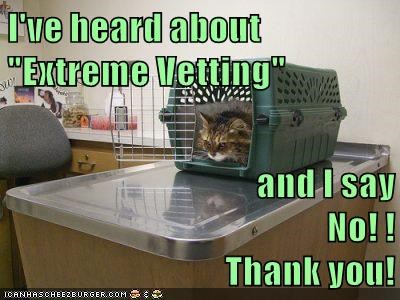 I've heard about "Extreme Vetting and I say No!! Thank you! ICANHASCHEEZBURGER.COM