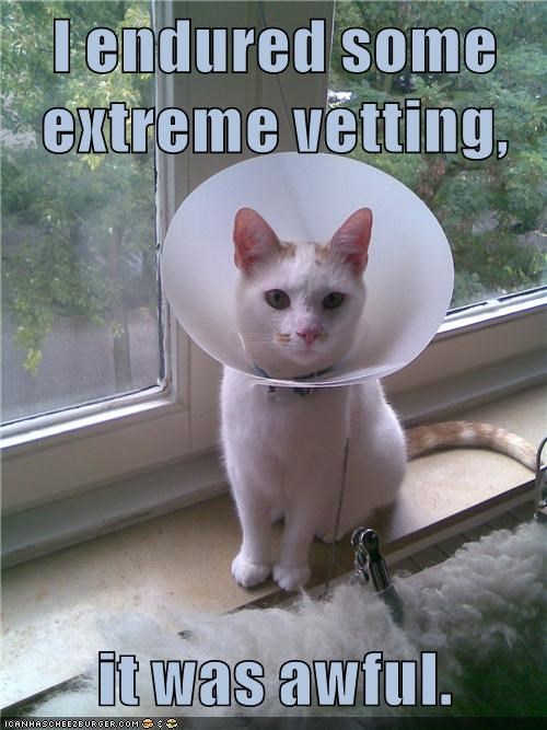 I endured some extreme vetting, it was awful. ICANHASCHEEZBURGER.COM :