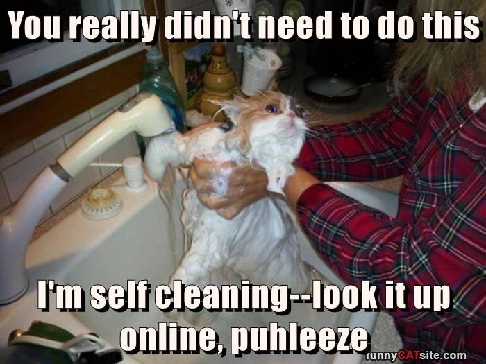 You really didn't need to do this I'm self cleaning--look it up online, puhleeze runnyCATsite.com