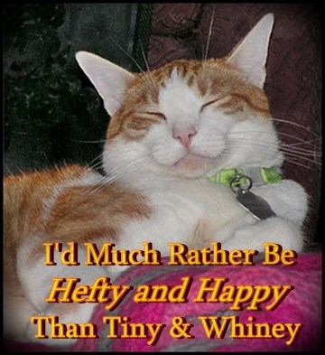 I'd Much Rather Be Hetty and Happy Than Tiny & Whiney