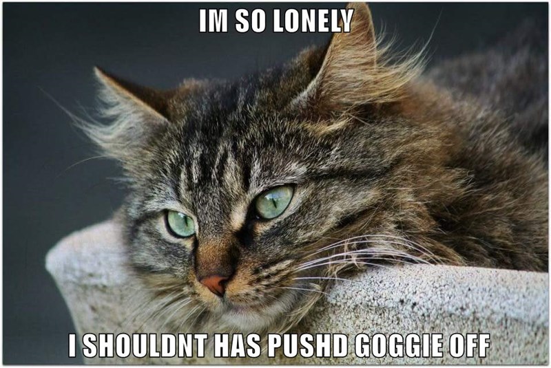 IM SO LONELY I SHOULDNT HAS PUSHD GOGGIE OFF