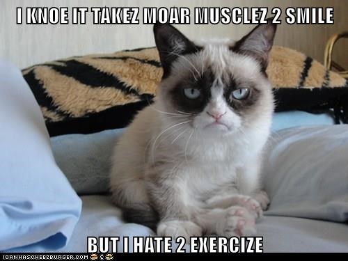 I KNOE IT TAKEZ MOAR MUSCLEZ 2 SMILE BUT I HATE 2 EXERCIZE ICANHASCHEEZBURGER.COM