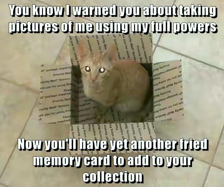 You know I warned you about taking pictures of me using my full powers nk you Than ak you for using! tority Mail Berd Priority Ma pastage requir 9 i post requi fority Mai nk you for v A pestopt Horfty nk you for using Pri Thom Destan vequired Primity Mall inity Mail Service Than postage required Priority M riority Mail Service th you for sing Pri Than required ority Mail Service Than nk you for using Py flority Mail Service Priority Ma Than Priority Ma pannhai abessod Than ank you for using Po r