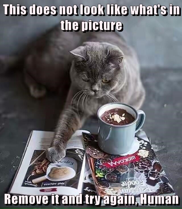 Remove it and try again, Human Foodie oject MAR MACAMA ШОКОЛАД Корица This does not look like what's in the picture