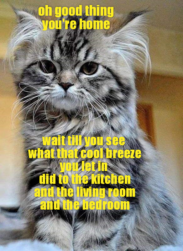 Cheezburger Image 9006699008