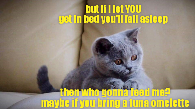 Cheezburger Image 9006702336