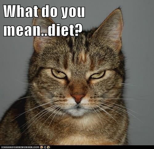 Cheezburger Image 9006702848
