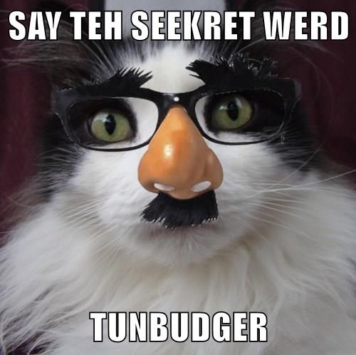 Cheezburger Image 9006791424