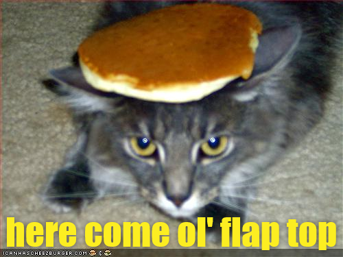 Cheezburger Image 9006930432