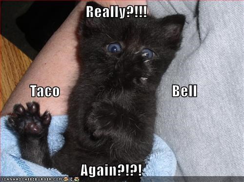 Cheezburger Image 9007089408