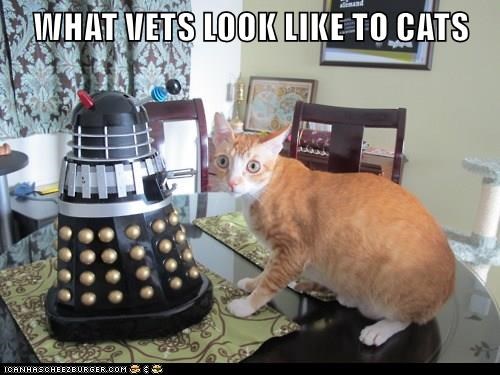 Cheezburger Image 9007192320