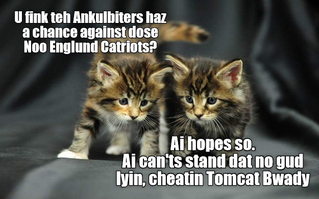 Cheezburger Image 9007227904