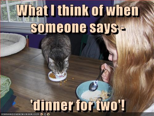 Cheezburger Image 9007270656
