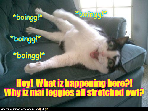 Cheezburger Image 9007356672