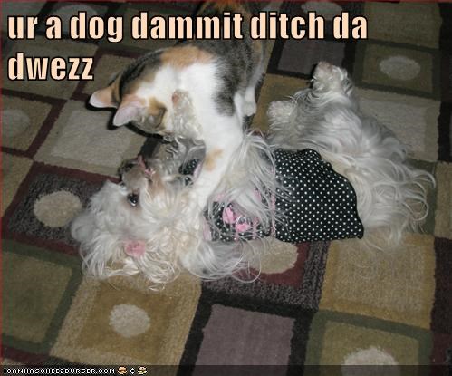 Cheezburger Image 9007482368