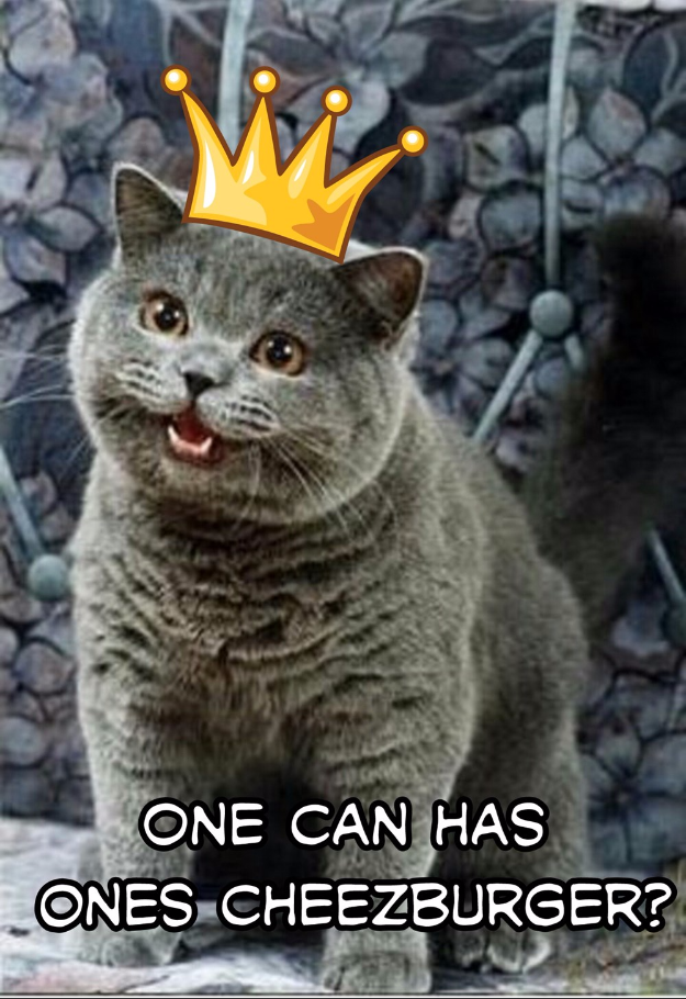 Cheezburger Image 9007516672