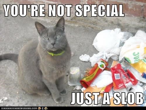 Cheezburger Image 9007527936
