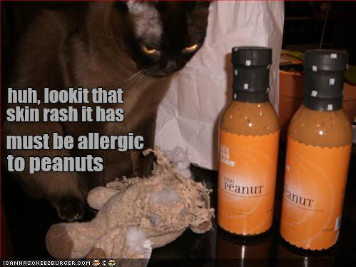 Cheezburger Image 9008344320