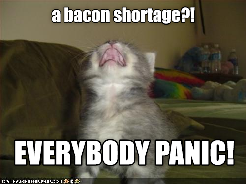 Cheezburger Image 9008425728