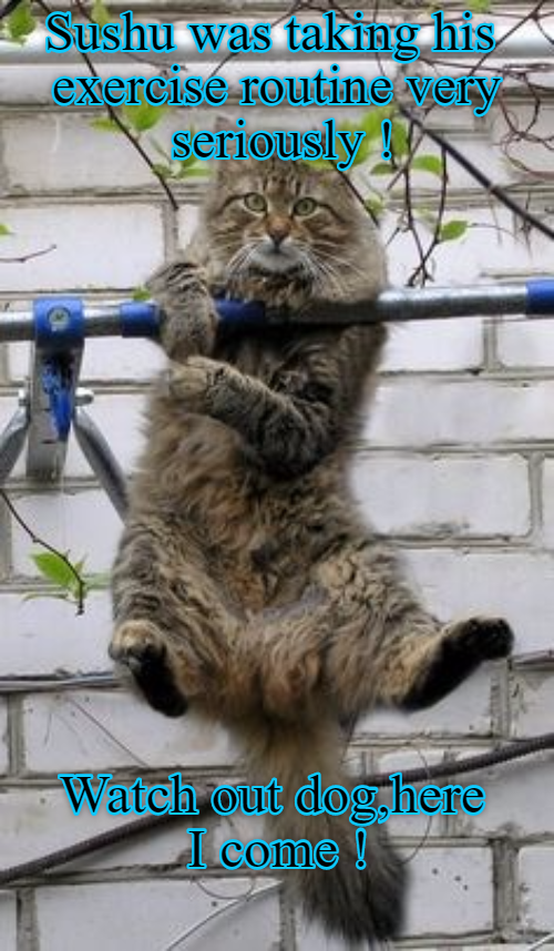 Cheezburger Image 9008844800