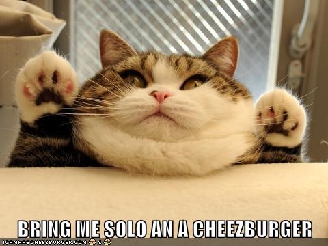 Cheezburger Image 9008969728