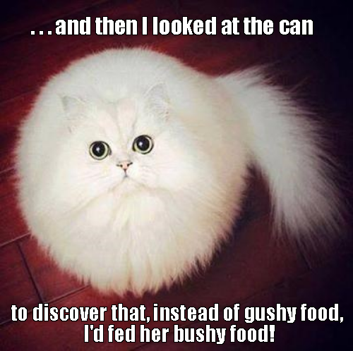Cheezburger Image 9009016832