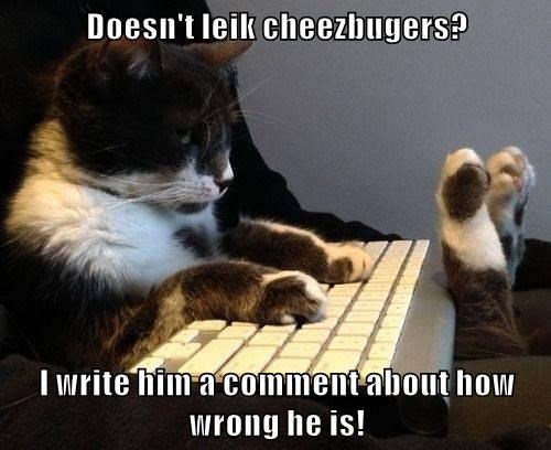 Cheezburger Image 9009535232