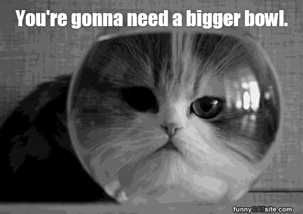 Cheezburger Image 9010416384