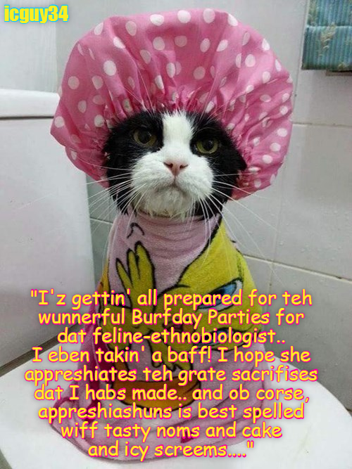 Cheezburger Image 9010556928