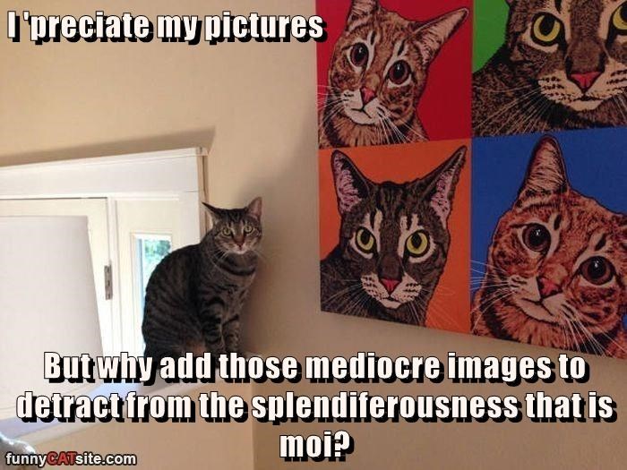 Cheezburger Image 9010575616