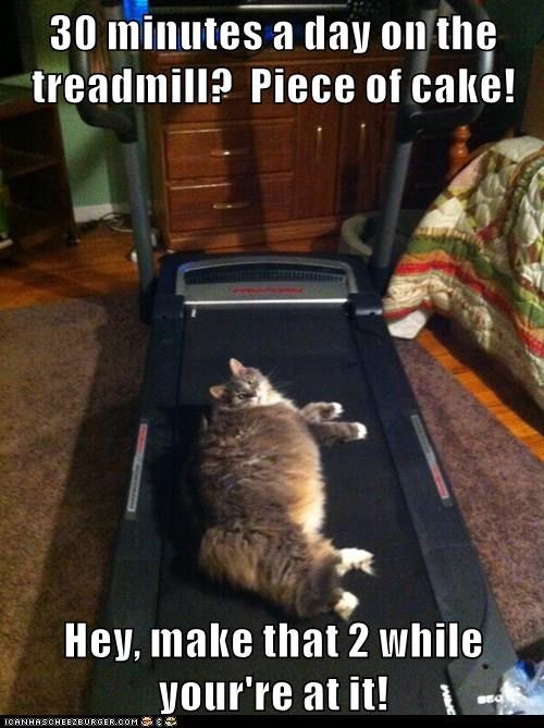 Cheezburger Image 9011144960