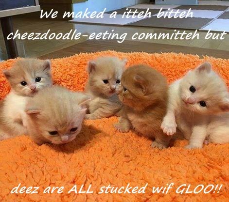 Cheezburger Image 9011149568