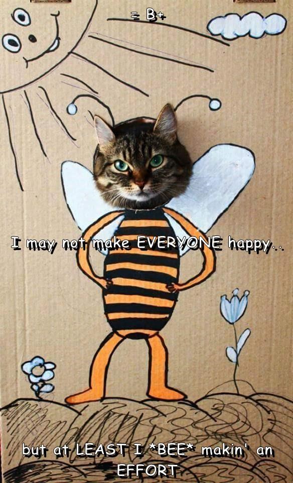 Cheezburger Image 9011150336
