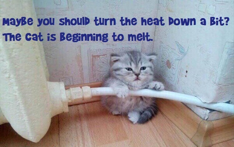 Cheezburger Image 9011720192