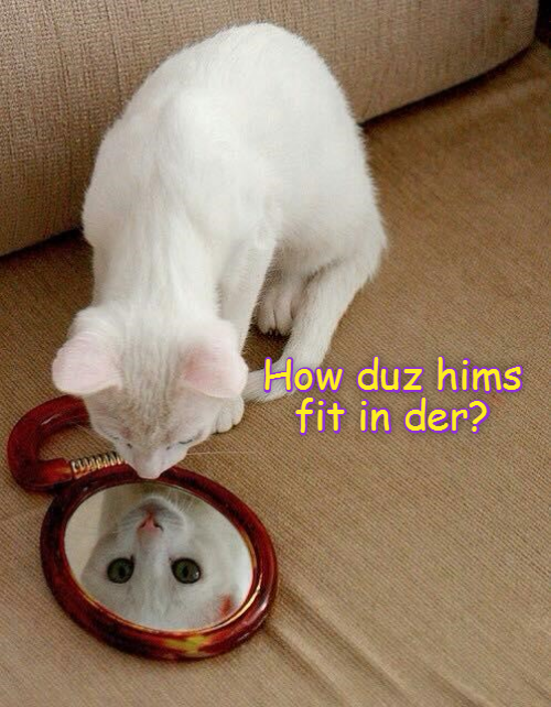 Cheezburger Image 9011954432