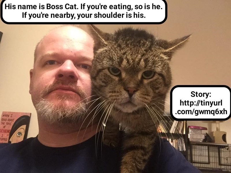 Cheezburger Image 9011992064