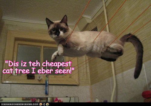 Cheezburger Image 9012250624