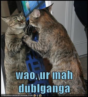 Cheezburger Image 9012331264