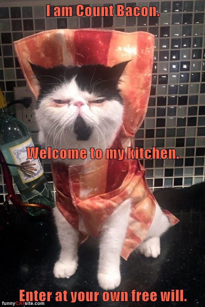 Cheezburger Image 9012356352