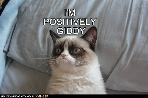 Cheezburger Image 9012374528