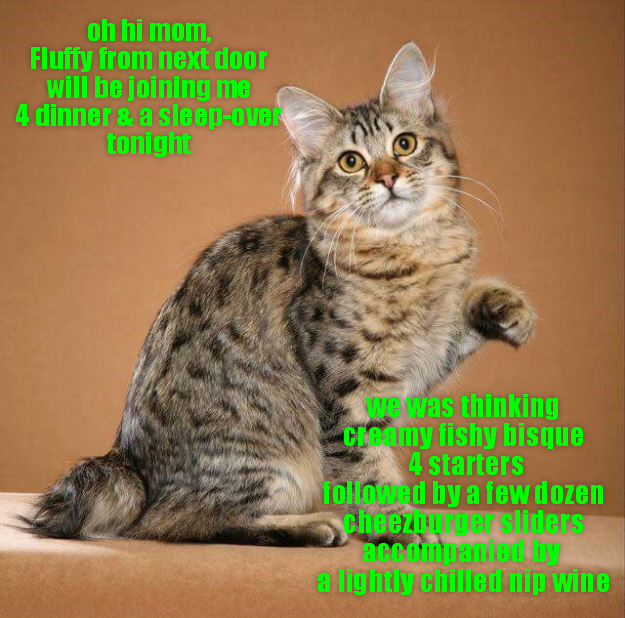 Cheezburger Image 9012476160
