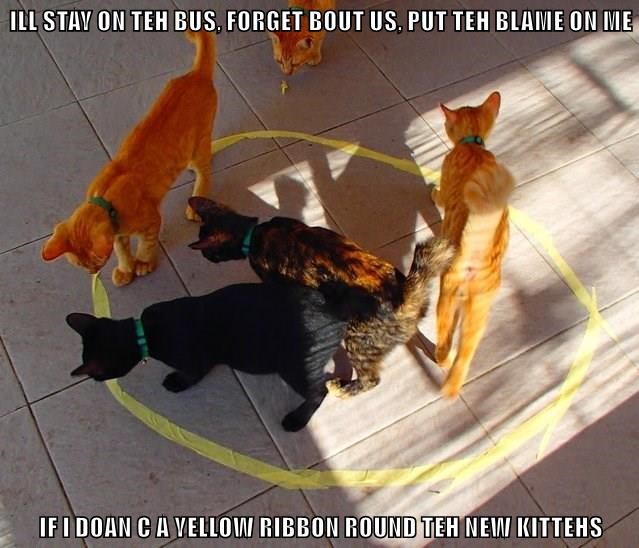 Cheezburger Image 9012533760