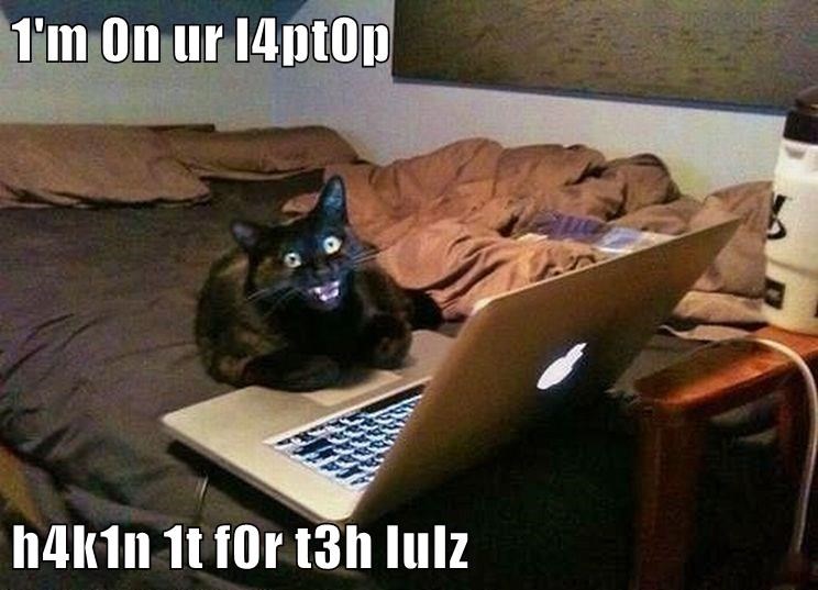 Cheezburger Image 9012626176