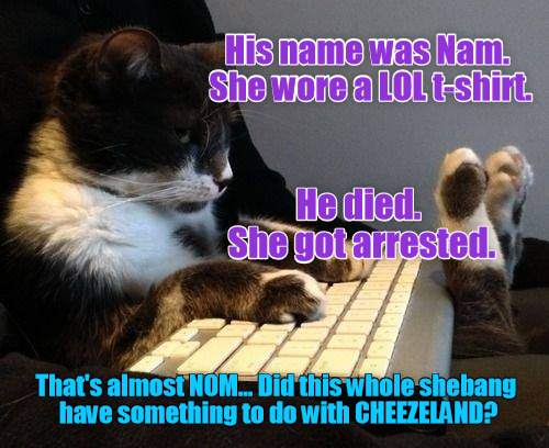 Cheezburger Image 9012626944