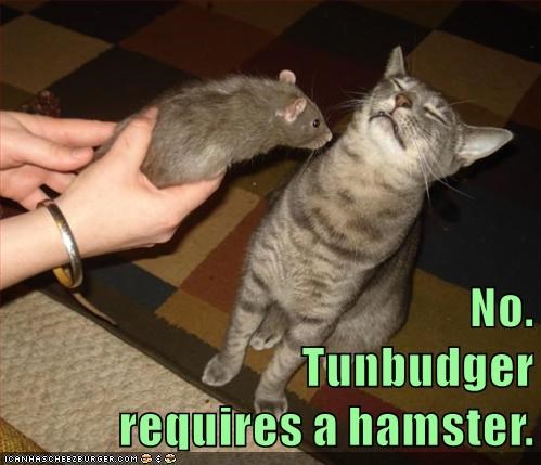 Cheezburger Image 9012945408